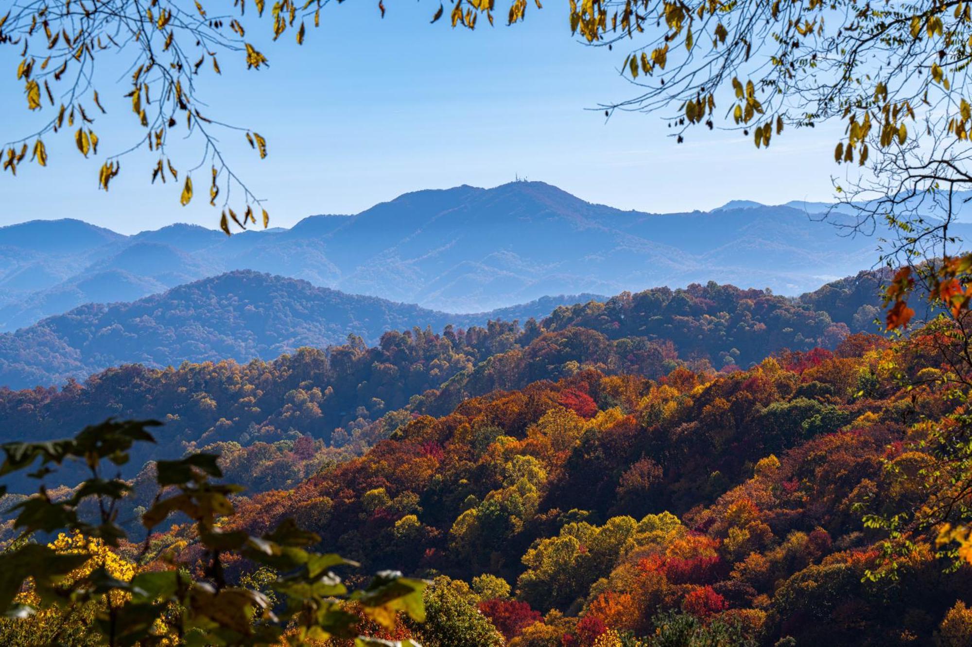 Elk & Embers Mountain Hideaway Hotel Waynesville Exterior photo